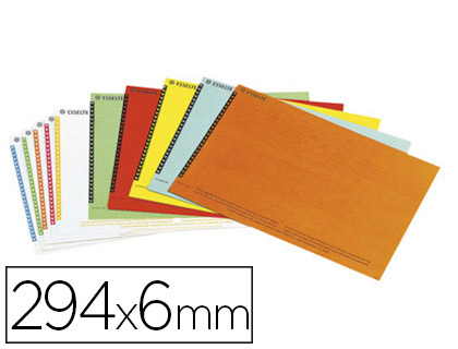 TIQUETTE ESSELTE CARTON 250G/M2 POUR DOSSIERS AZ TIROIRS 295X200MM SACHET BROCHABLE 10 PLANCHES 25 UNITS
